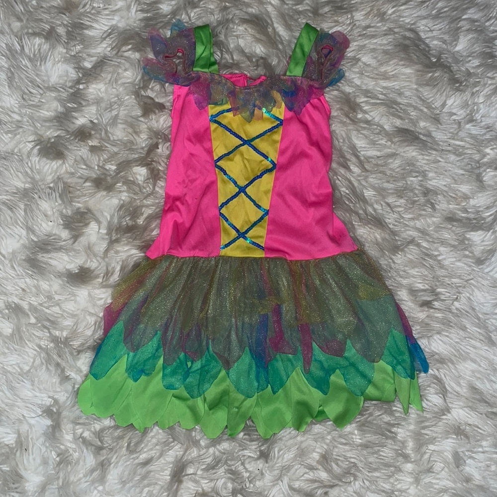 Fairy Costume